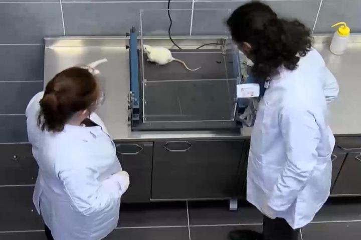 DHA covered our research (in Turkish)