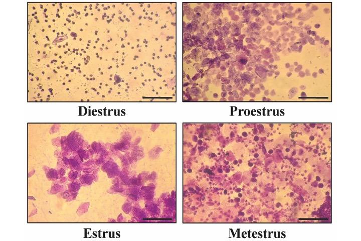 Congrats to Ece, Bahar & Zeynep!