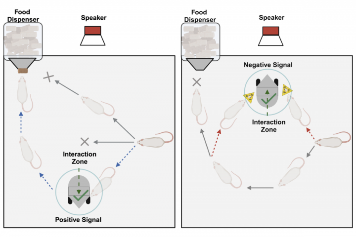 Congrats to Oğuz and Defne!